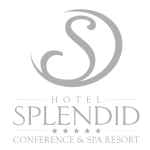 vektorski-logo-Splendid_95a50afc-e57f-496f-84ad-aa0b7e6ca744